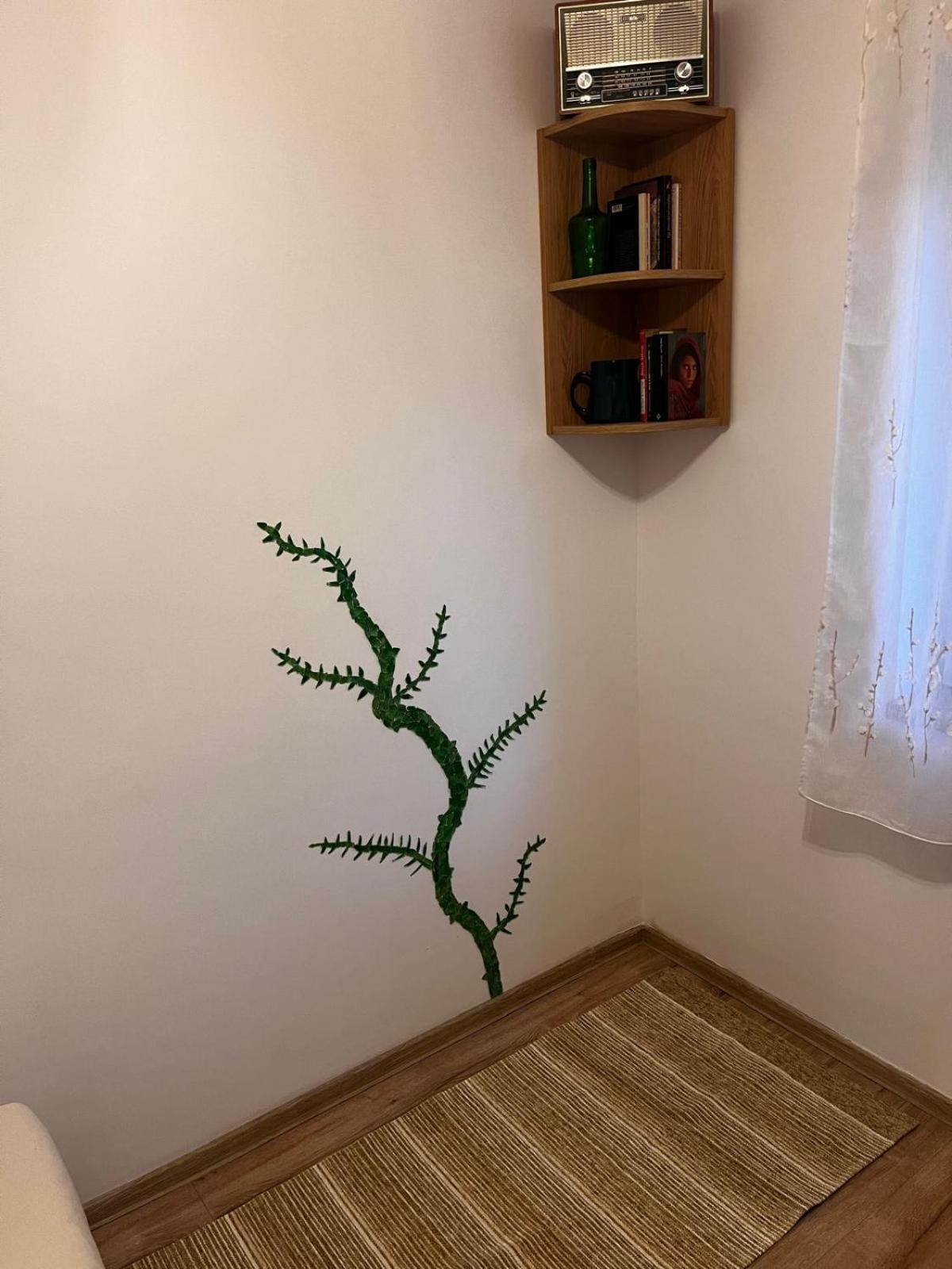 Mimosa Studio Kluż-Napoka Zewnętrze zdjęcie