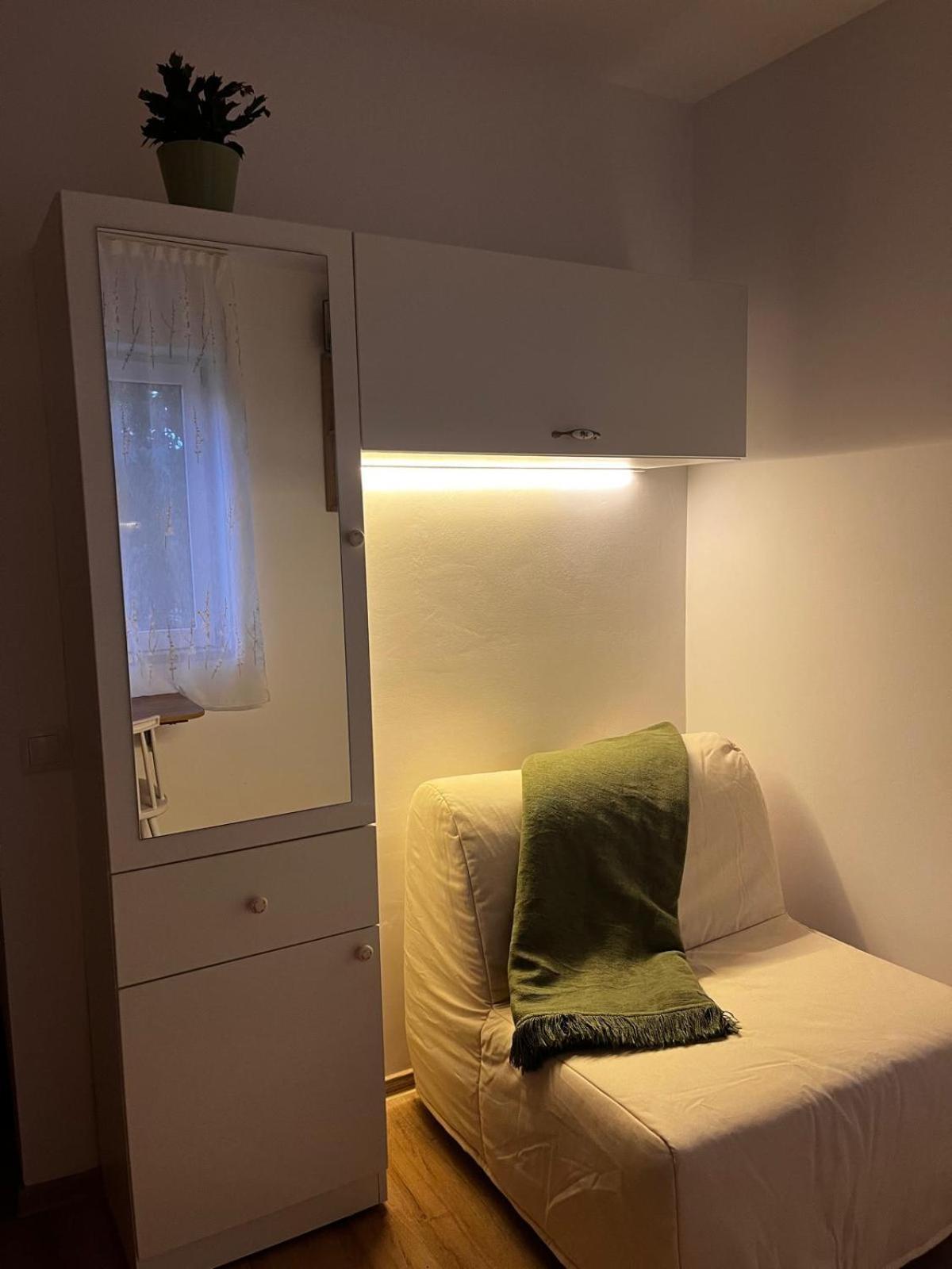 Mimosa Studio Kluż-Napoka Zewnętrze zdjęcie