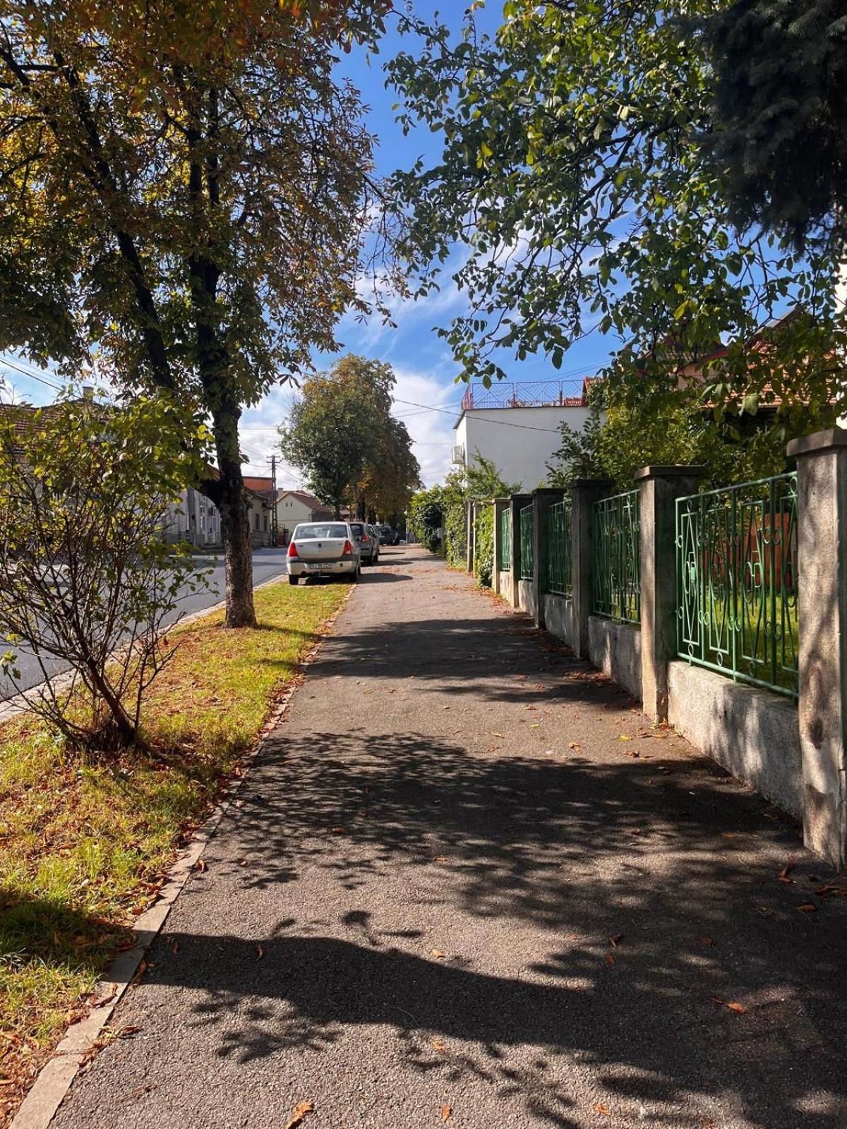 Mimosa Studio Kluż-Napoka Zewnętrze zdjęcie
