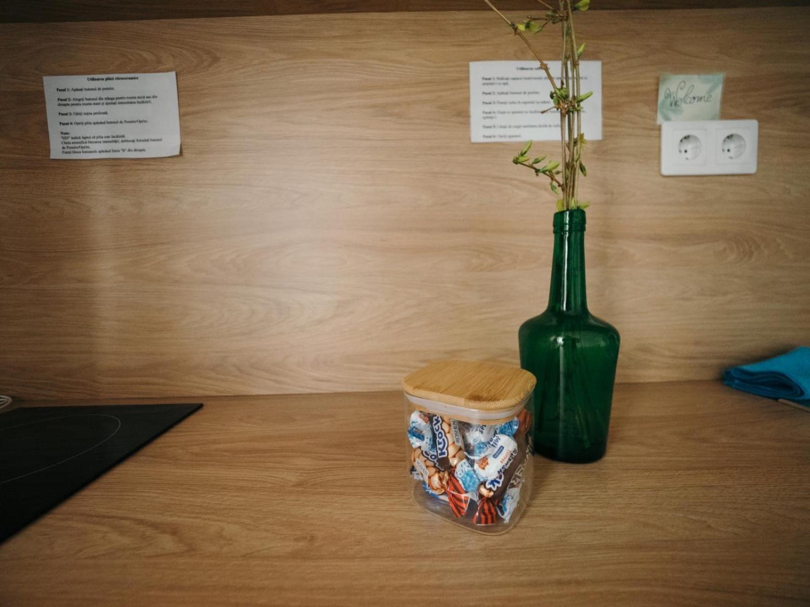 Mimosa Studio Kluż-Napoka Zewnętrze zdjęcie